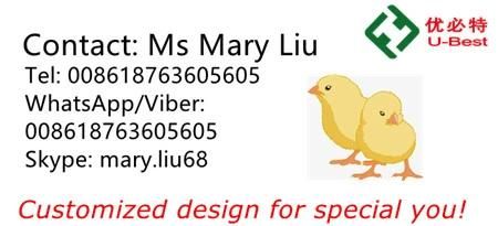 China Direct Supply Poultry Feeders Drinkers Chicken Farm Equipment