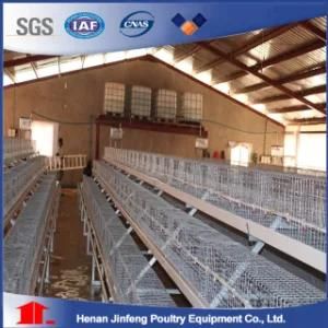 a Frame Automatic Chicken Brooder Cage for Layer Breeder /Broiler Breeder