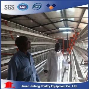 Jinfeng Layer Poultry Battery Chicken Cage Equipment
