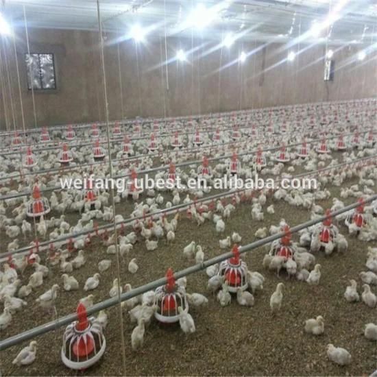 Factory Modern Design Complete Automatic Controlled Poultry House for 10000 Chicken