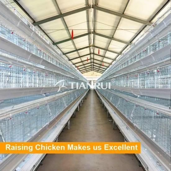 A Type Hot Galvanized Chicken Layer Cage for Poultry Farm