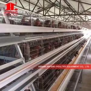 Henan Jinfeng Poultry Equipment a Type Layer Chicken Cage