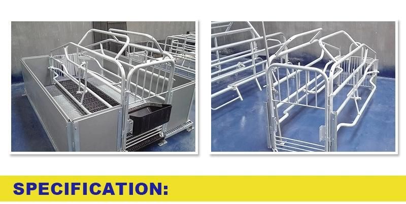 Best Quality Pig Farrowing Crate for Sale