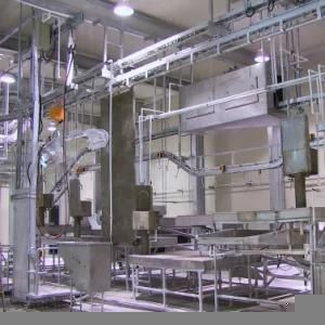 300/400 Heads Per Day Buffalo Meat Processing Line with Buffalo Abattoir Machine