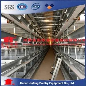 High Quality H Type Battery Automatic Poultry Equipment Chicken Cage