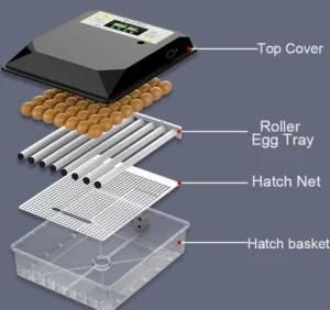 Mini Egg Incubator 24 Fully Automatic Chicken Egg Hatcher Warmer Small Poultry Incubator