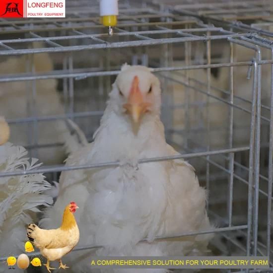 Longfeng Comprehensive Solution for Poultry Farm Layer Cage with High Quality