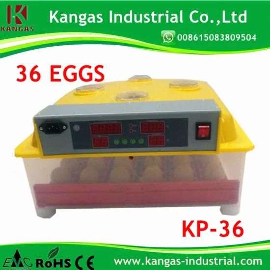 Hot Sale Full Automatic Mini Chicken Egg Incubator for 36 Eggs (KP-36)