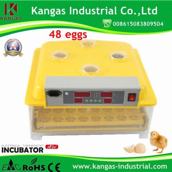 Cheapest and High Quality 48 Eggs Incubator (KP-48)