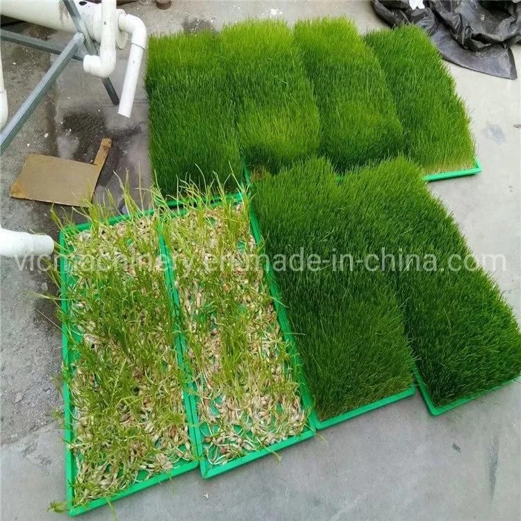 500kg/d Hydroponic Fodder Machine With Growth Light
