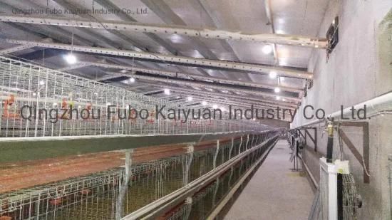 Chicken Cage System/Battery Layer Poultry Cage for Broiler