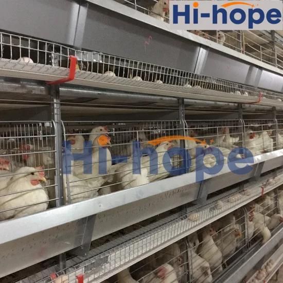Poultry Farm Egg Chicken Cage System