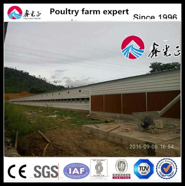 Farm Ground Raising Chicken Equipment for Broiler