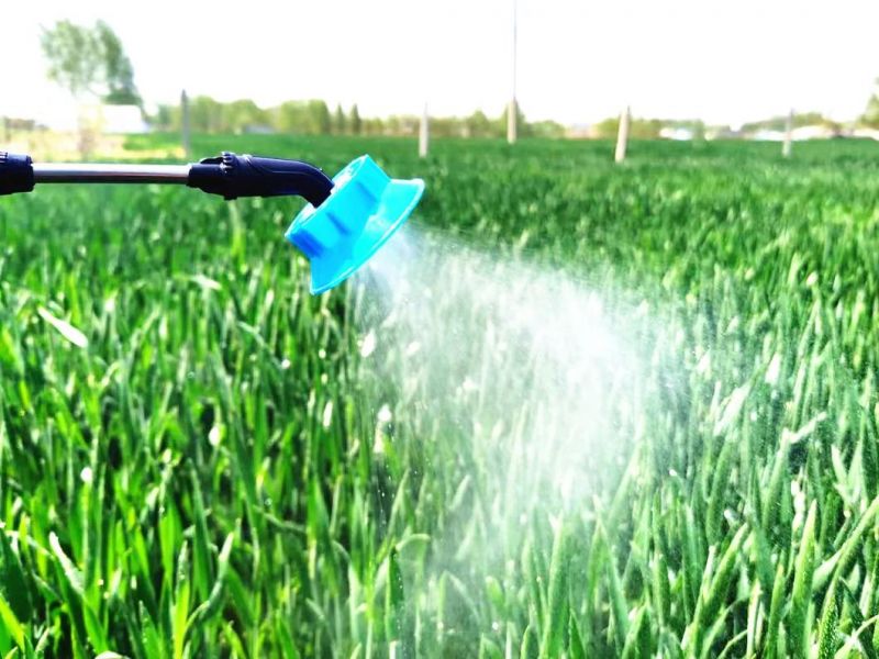 Hot Selling Agriculture 16L Hand Sprayer Agricultural Sprayers Agrochemical Disinfection Sterilization Agricultural Backpack Farm Sprayers
