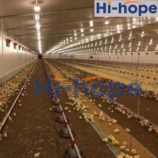 Chicken Farm Automatic Feeding Drinking Equipment
