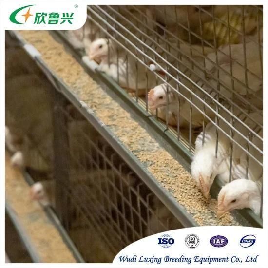 Chicken Raising Equipment Galvanized Steel H Type Poultry House Equipment for Broiler Farm