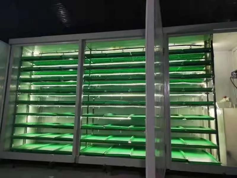 Customized Full Auto Hydroponic Growing Systems With 150kg/d