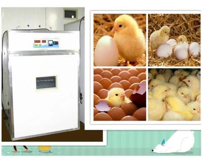 Digital Automatic Chicken Eggs Incubator