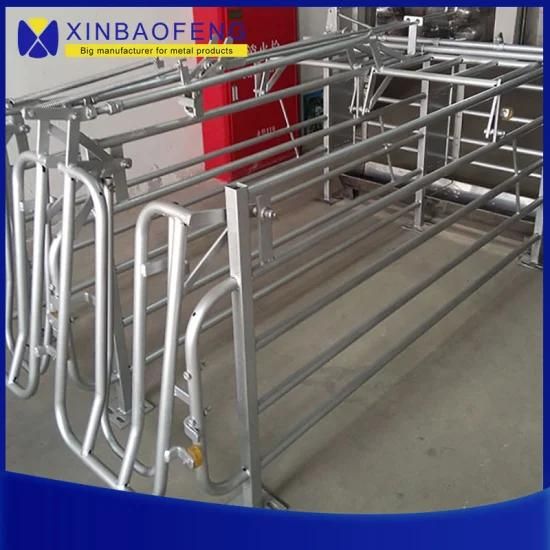 Hot-DIP Zinc Cages for Pig Farms Made in China for Breeding Pregnant Sow Cages
