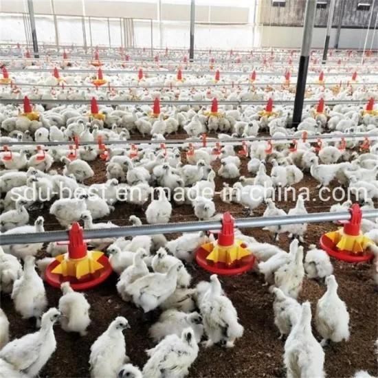 Agriculture Poultry Farm Chicken House Feeder and Drinker for Broiler