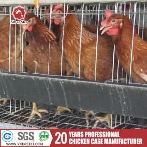 Automatic Poultry Chicken Cage with Drinking System for Poultry Farm Nigeria