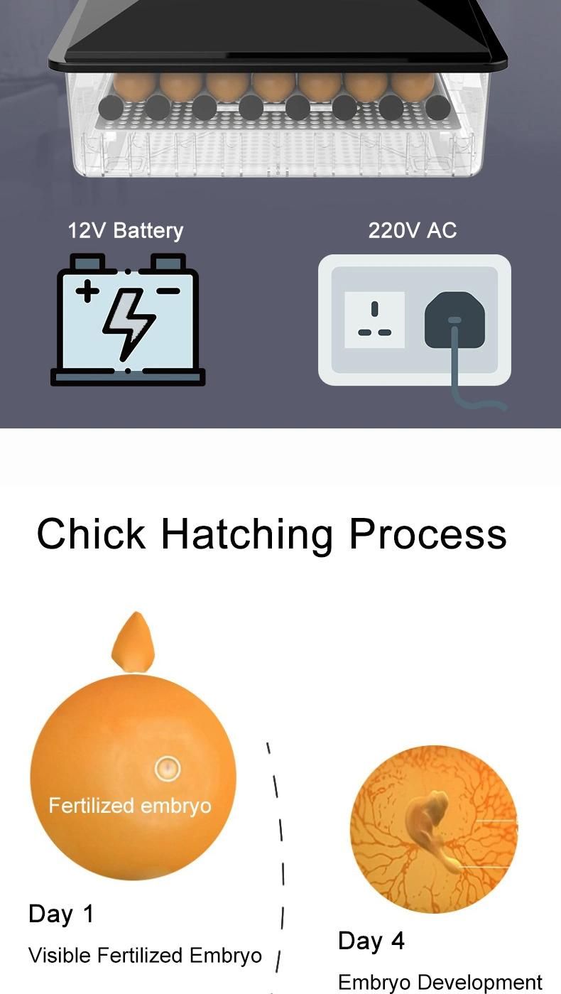 Fully Automatic Dual-Electricintelligent Chicken and Birds Egg Hatcher/Poultry Hatching Machine Egg Incubator