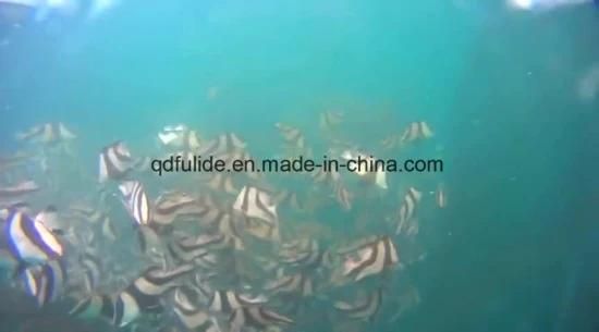 Culture Tilapia Deep Sea Square HDPE Fish Cage