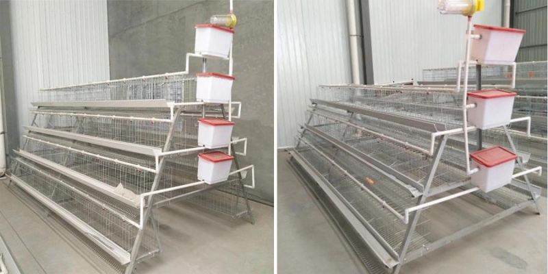 Hot DIP Galvanized Battery Layer Chicken Cage Poultry Equipment