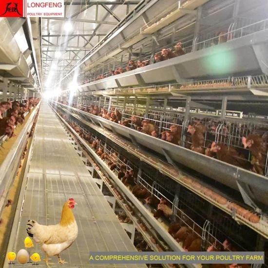 Hot Sale 1 Year Warranty Computerized 3-12 Tires Poultry Farm Layer Cages
