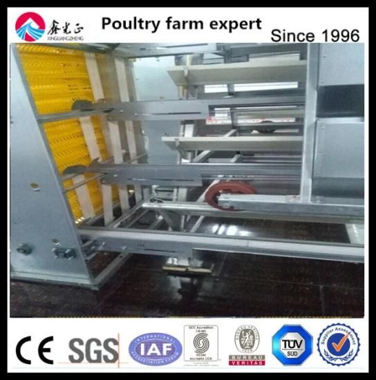 Qingdao Xinguangzheng Corrosion Resistant New Layer Chicken Cage