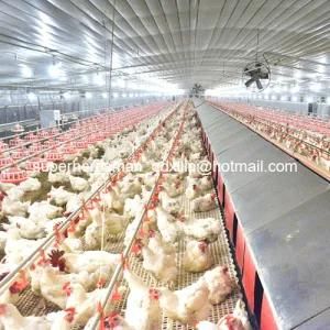 Poultry Control Shed Equipment for Breeder House