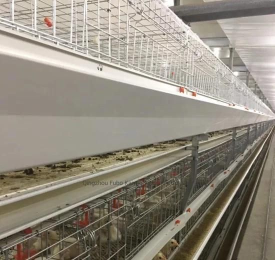 Automatic Layer Cage System for Broiler/Chicken Layer/Egg Chicken