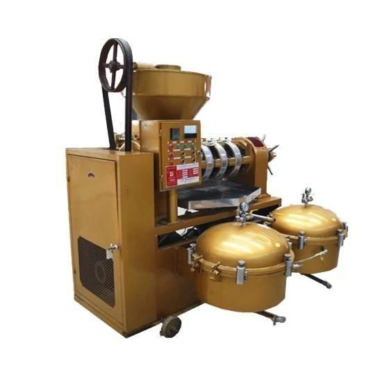 High Oil Yield Soybean Peanut, Sesame Oil Extraction Machine Yzlxq140