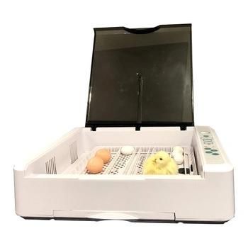 2019 New Listing Yz-36 Automatic Temperature Control and Digital Humidity Display Chicken Egg Incubator