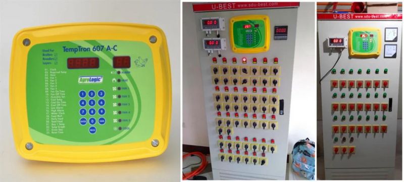 Top Quality Poultry Farm Temperature Control with Automatic Feeding and Drinking System