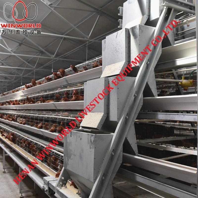 Vietnam High Quality A Type Poultry Layer Cage & Hen Cage with Automatic Chickn Manure Clean Machine