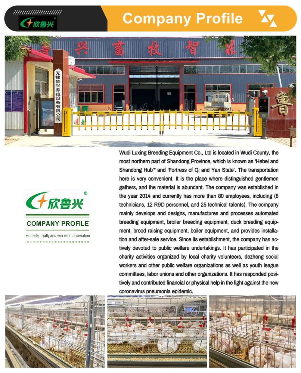 Broiler Chicken Breeding Cage with Automatic Poultry Farm Equipment