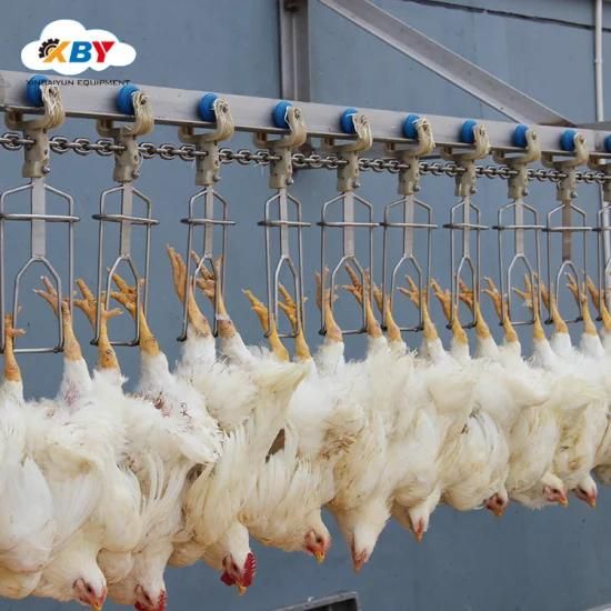 Chaine D'abattage Poulet De Complete Chicken Duck Goose Slaughter Abattoir Machine for ...