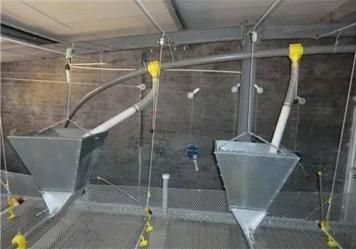 Poultry Equipment for Broiler Chicken Pan Feeding System