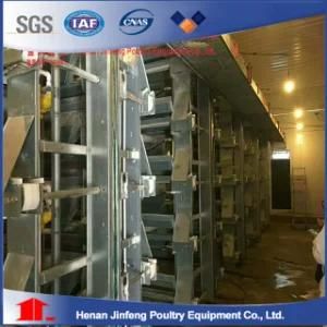 H Type Best Price Poultry Farm Egg Layer Chicken Cage for 50K More Chickens