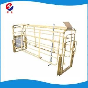 China Factory Supplier Price Pig Gestation Crates with a Group of Ten