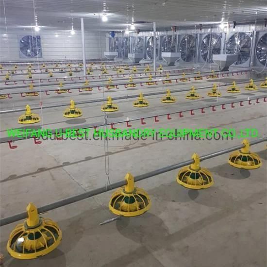 Prefabricated Steel Chicken Farm Poultry House and Shed