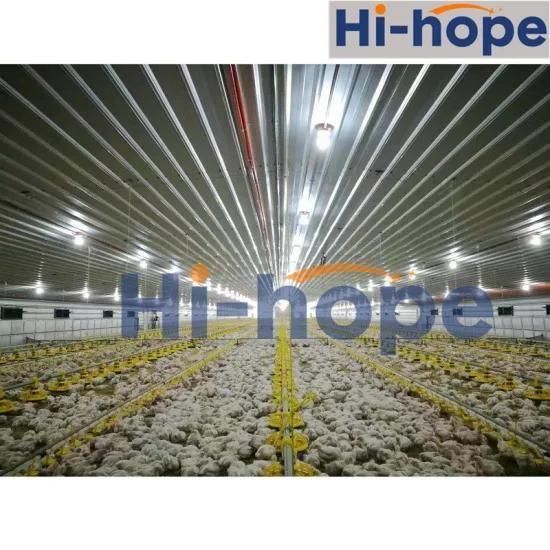 High Quality Poultry Equipment with Feeding and Drinking Line