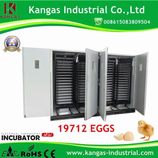 CE Certified Hot Slae Competitive Price Automatic Egg Incubator (KP-32)