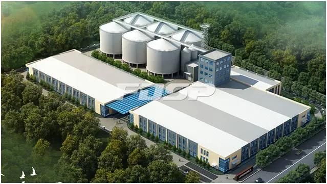 China Free Trade Zone Popular Corn Deep Processing Engineering Project