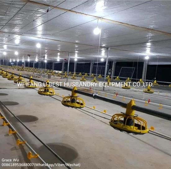 Philippines Environment Control Poultry Shed Farm Equipment for Broiler Breeder Chicken