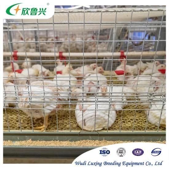 Hot Dipped Galvanized Battery Layer Cage Large Scale Chicken Layer Cage for Poultry ...