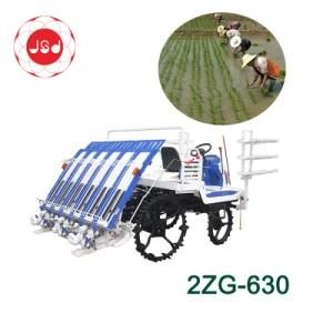 2zg-630 Hot Sale Small Field Walking Type Rice Seedling Transplanter for Family Use