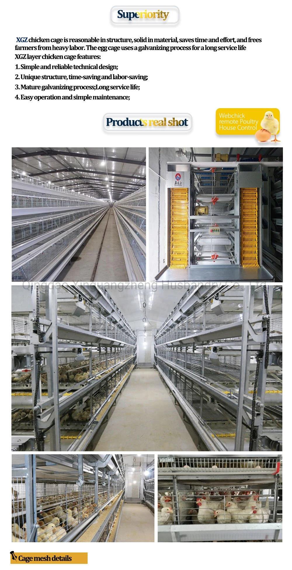 China Factory Supply Hot Sale Poultry House/ Layer Cage/Baby Chicken Cages