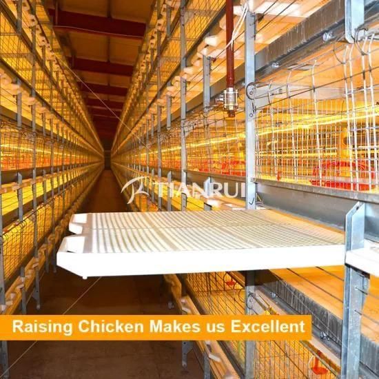 Automatic Broiler Chicken Cage for Layer Poultry